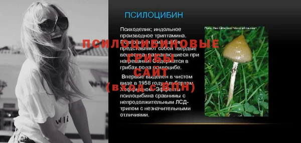 твердый Балахна