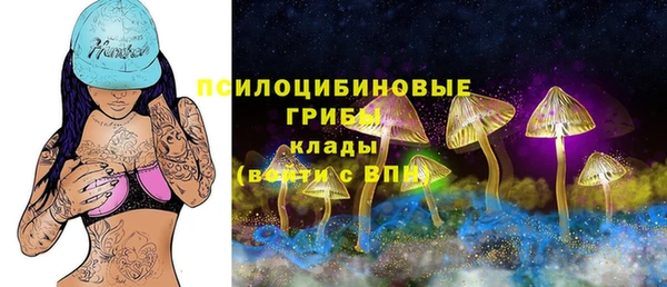 твердый Балахна